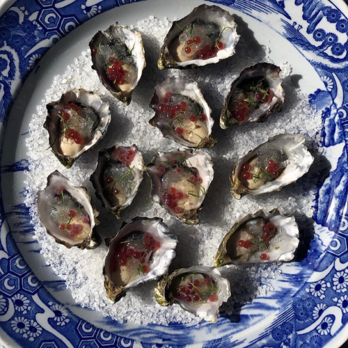 G&T Oysters