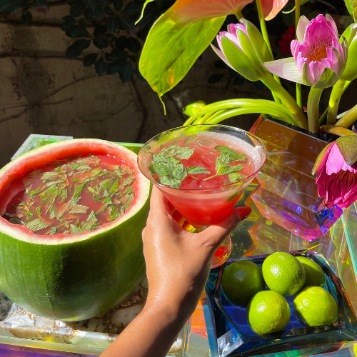Watermelon & Mint Cocktail Punch