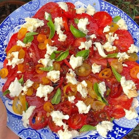 Heirloom Tomato Caprese Salad